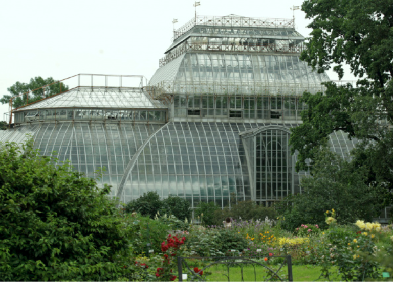 Ботанический сад Петра Великого 